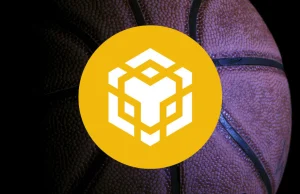 Binance Coin price analysis: BNB rejected at $315, moves back towards $308