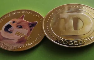 Dogecoin whale alert: Robinhood holds 24% of circulating supply