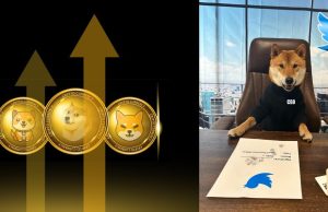 Meme coins surge following Elon Musk’s tweet