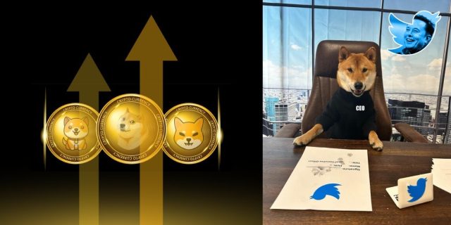 Elon_Musk_Sends_Memecoins_Up_After_Tweeting_Photo_of_His_CEO_Dog