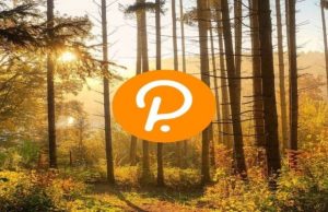 Polkadot price analysis: DOT price drops to $6.15 as market conditions turn bearish