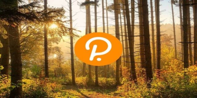 Polkadot-price-analysis-Bearish-