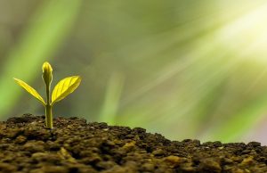 Konami’s raises over $160K through Castlevania anniversary NFT sale