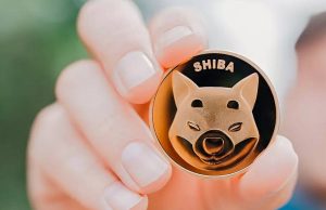 Here’s a summary of Shiba Inu’s ‘Shibarium Invite’
