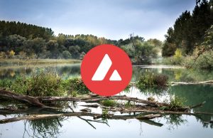 Avalanche price analysis: AVAX struggles at $17 as it bounces back from its low swing