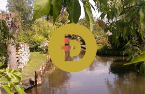 Dogecoin price analysis: As selling pressure builds, bears lower the price to $0.0814.