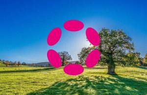 Polkadot price analysis: DOT declines to $6.17 as a bearish rule of the market