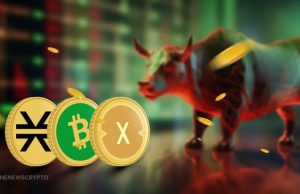 STX, BCH, and XDC Rise Most on Bullish News