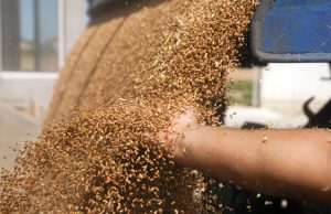 Russian strikes on Ukraine kill boy in Kharkiv, damage port infrastructure