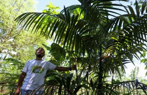 How campaigners’ slayings hurt environmental protection in Colombia