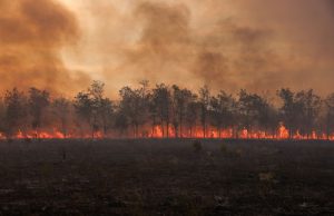 Explainer-How climate change is making the world sick