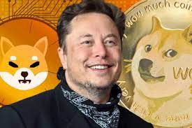 Elon Musk Thrills Dogecoin Community by Featuring Shiba Inu in New Robotaxi