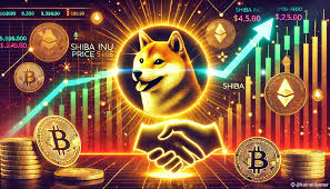 Shiba Inu Coin Lead Unveils Transformative Partnership for SHIB’s Financial Layer