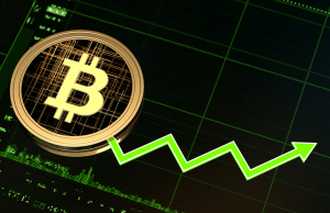 Crypto Fund Assets Reach All-Time High as Investors Seek Diversification and Risk Protection