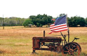 U.S. Producer Prices Flat in June, According to Labor Department
