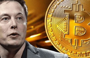 Bitcoin gains political ground with Musk’s America Party endorsement