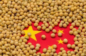 China Increases Soybean Imports From Argentina and Uruguay Amid U.S. Trade Tensions