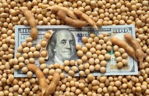 Soybean Farmers Push Trump to Secure China Trade Agreement