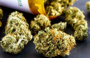 Cannabis Stocks Jump as Trump Backs CBD for Senior Healthcare