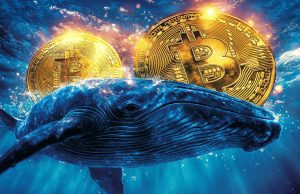 Bitcoin Whales Start Buying as Market Enters Extreme Fear