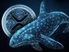 XRP Faces Bearish Danger as Death Cross Forms and Whales Dump Over $1B
