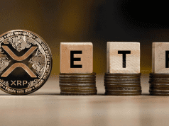 XRP ETF Hype Falls Flat as Token Drops 7.3% With BTC