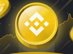 Will Binance Coin Recover as a Key RWA Metric Surges 99%?