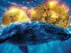 Bitcoin Whales Accumulate at Fastest Rate in 13 Years as BTC Sinks 30%