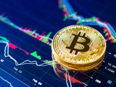 Bitcoin Four-Year Cycle Still Alive as Politics and Liquidity Take Control
