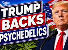 Psychedelic Stocks Surge After Trump Fast-Tracks Treatments