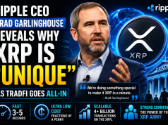 Ripple CEO Brad Garlinghouse Explains What Makes XRP “Unique” as Institutions Enter Crypto
