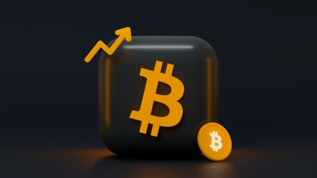 Adam_Back_Bitcoin_Treasury_Mariia_Shalabaieva_Unsplash_1777898549730