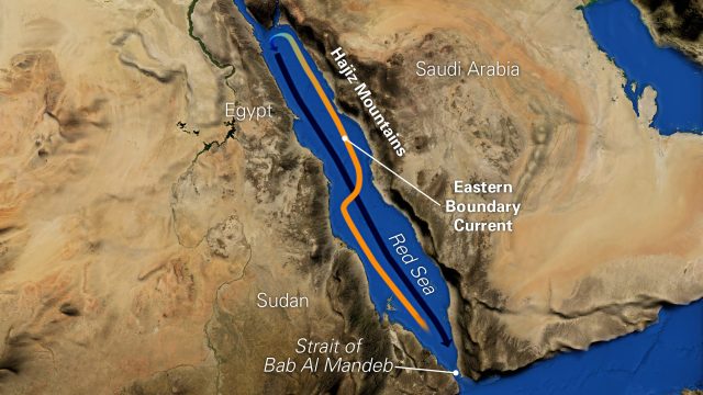 red-sea-gulf