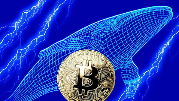 bitcoin-whale