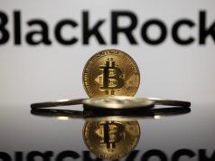 BlackRock Leads $217M Bitcoin ETF Rebound as Altcoin Inflows Continue