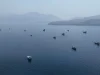 Strait of Hormuz Traffic Slows as Iran Threatens Retaliation